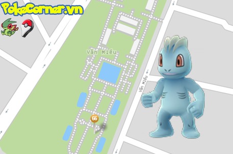 tổ pokemon, pokemon go, pokecorner.vn