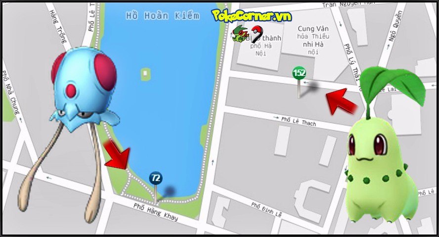 11 12 - Hồ hoàn kiếm , Phố Hàng Khay và Phố Lê Thạch - Tentacool và Chikorita - 72 và 152 - Tổ Pokemon Go thứ 18 - PokeCorner.vn - PokeCorner247 - Pokemon Go Plus - Mô hình Pokemon Takara TOMY