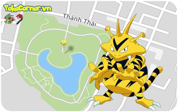 1_HN - Công viên Cầu Giấy đường Thành Thái - Electabuzz 125 - Tổ Pokemon Go thứ 19 - PokeCorner.vn - PokeCorner247 - Pokemon Go Plus - Mô hình Pokemon Takara Tomy - Hướng dẫn Pokemon Go