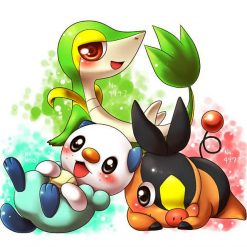 Gói Mô hình Pokémon Starters Gen 5